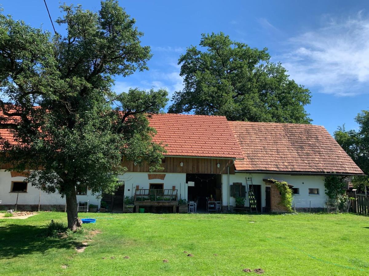 Appartement Kellerstoeckl Am Veganen Bio-Lebenshof "Varm - Die Vegane Farm" à Sulb Extérieur photo