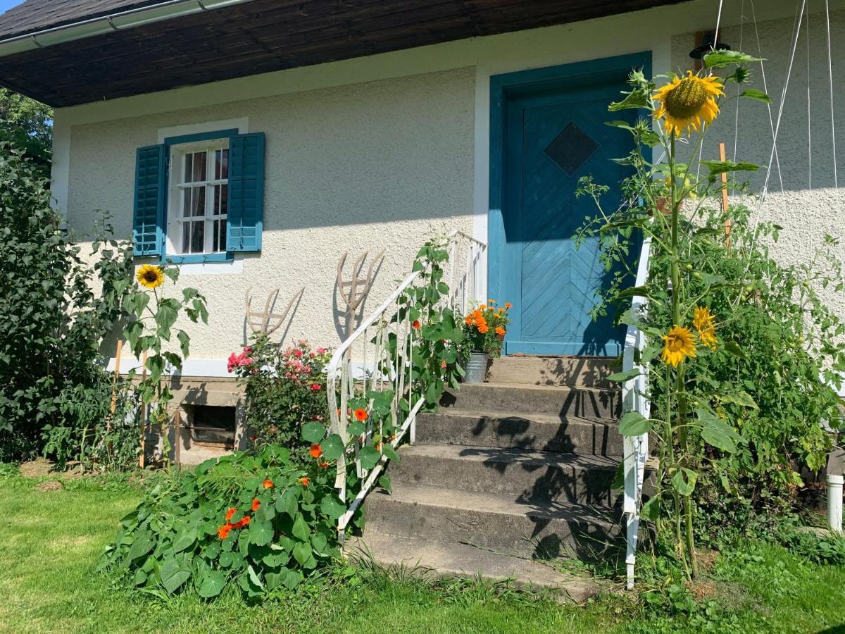 Appartement Kellerstoeckl Am Veganen Bio-Lebenshof "Varm - Die Vegane Farm" à Sulb Extérieur photo